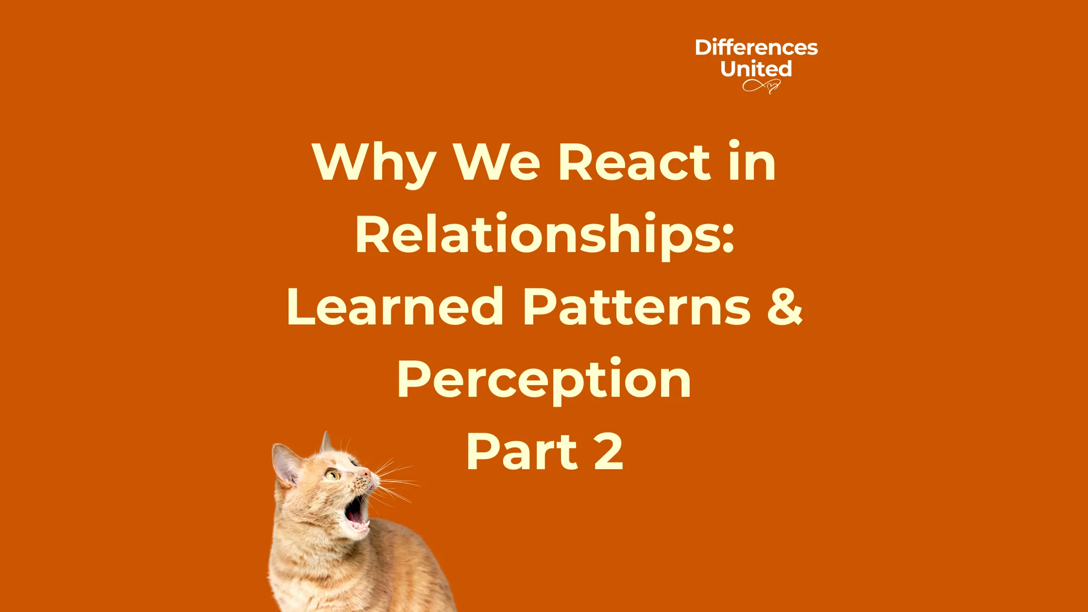 Why We React in Relationships Learned Patterns & Perception Article Part 2