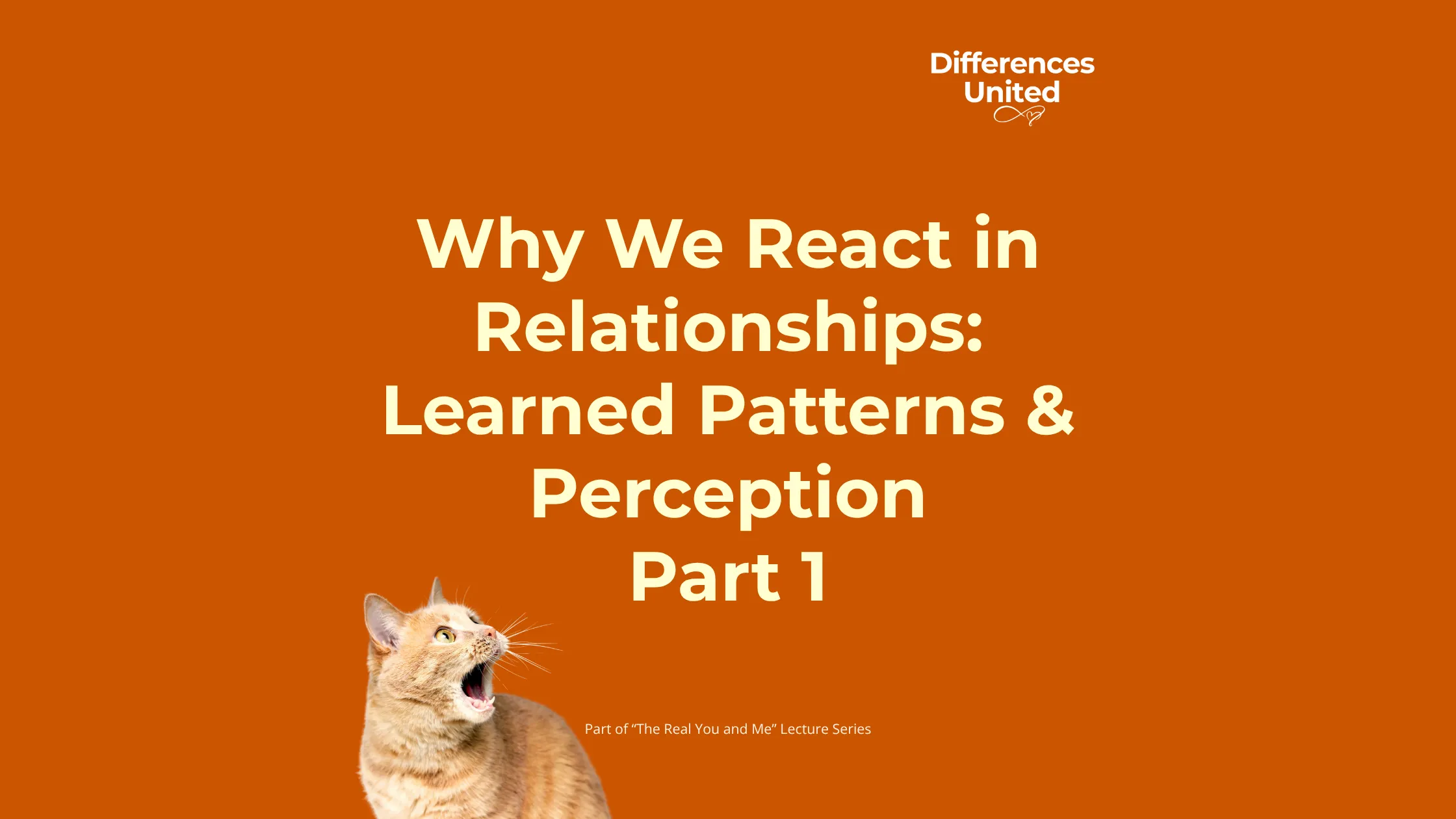 Why We React in Relationships_ Learned Patterns & Perception Part 1