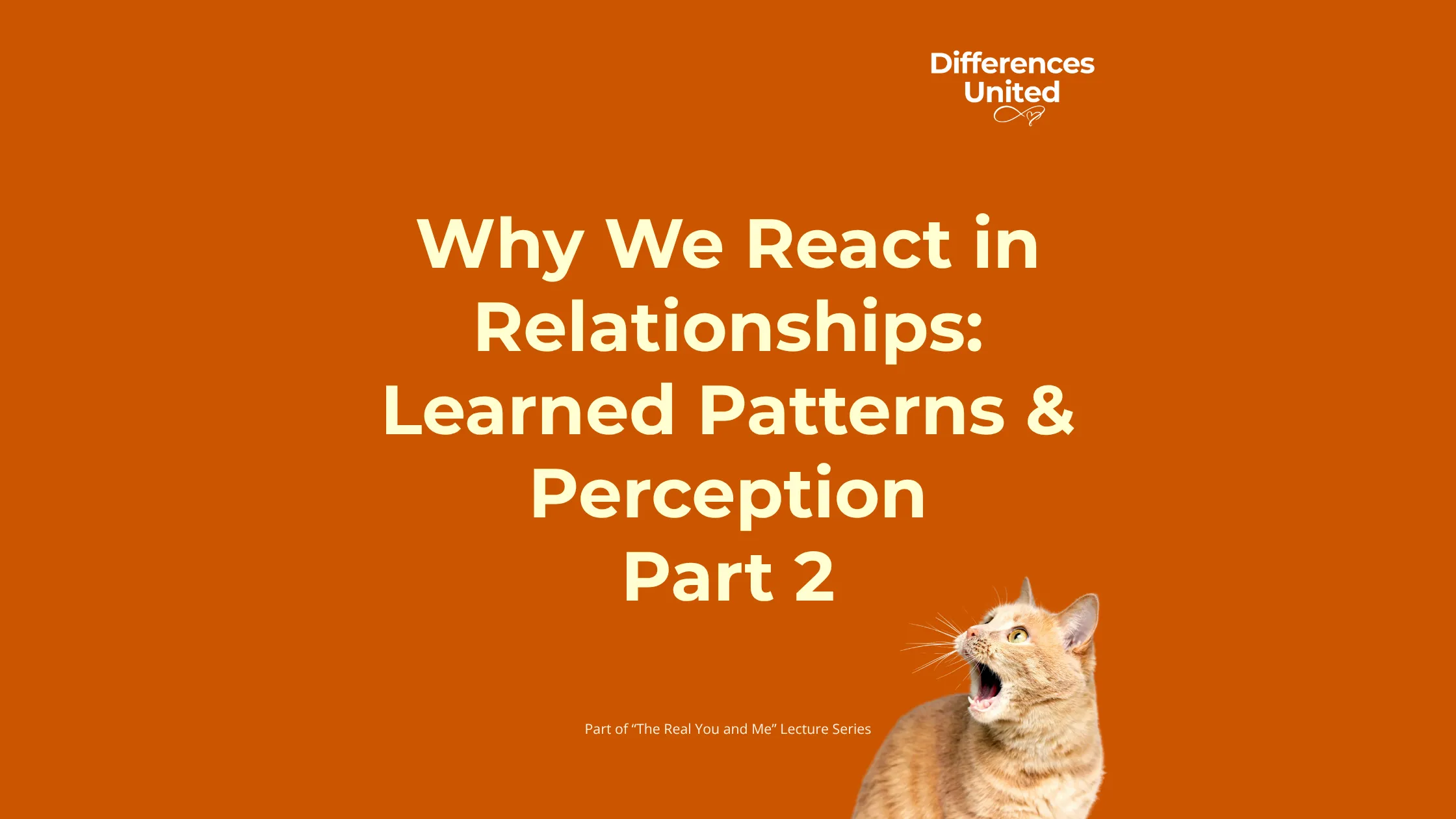Why We React in Relationships_ Learned Patterns & Perception Part 2